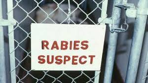 Puskeswan Rantaau Rasau Cegah Rabies