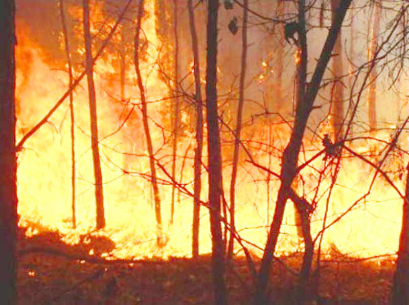 Ratusan Hektar Lahan Terbakar Selama 2018