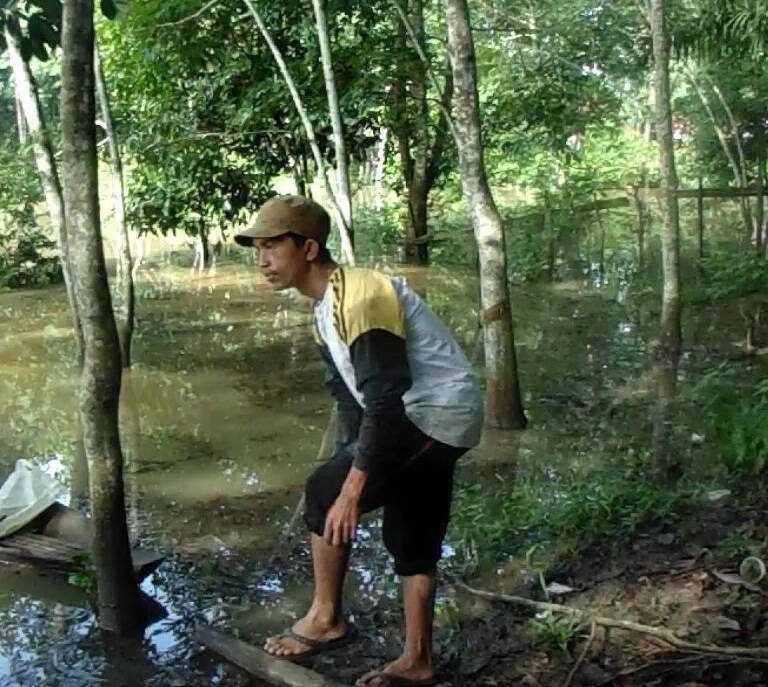 Ratusan Hektar Sawah dan Kebun Terendam Banjir