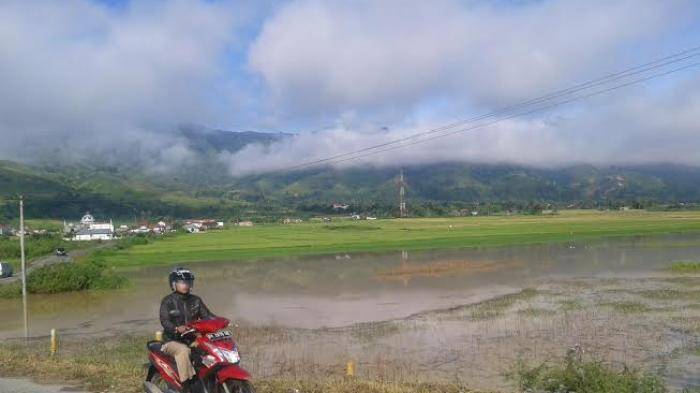 Ratusan Hektare Sawah Warga Terendam
