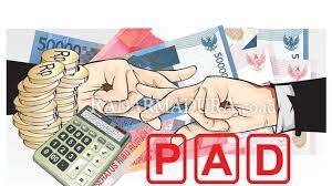 Realisasi PAD Jambi 82 Persen