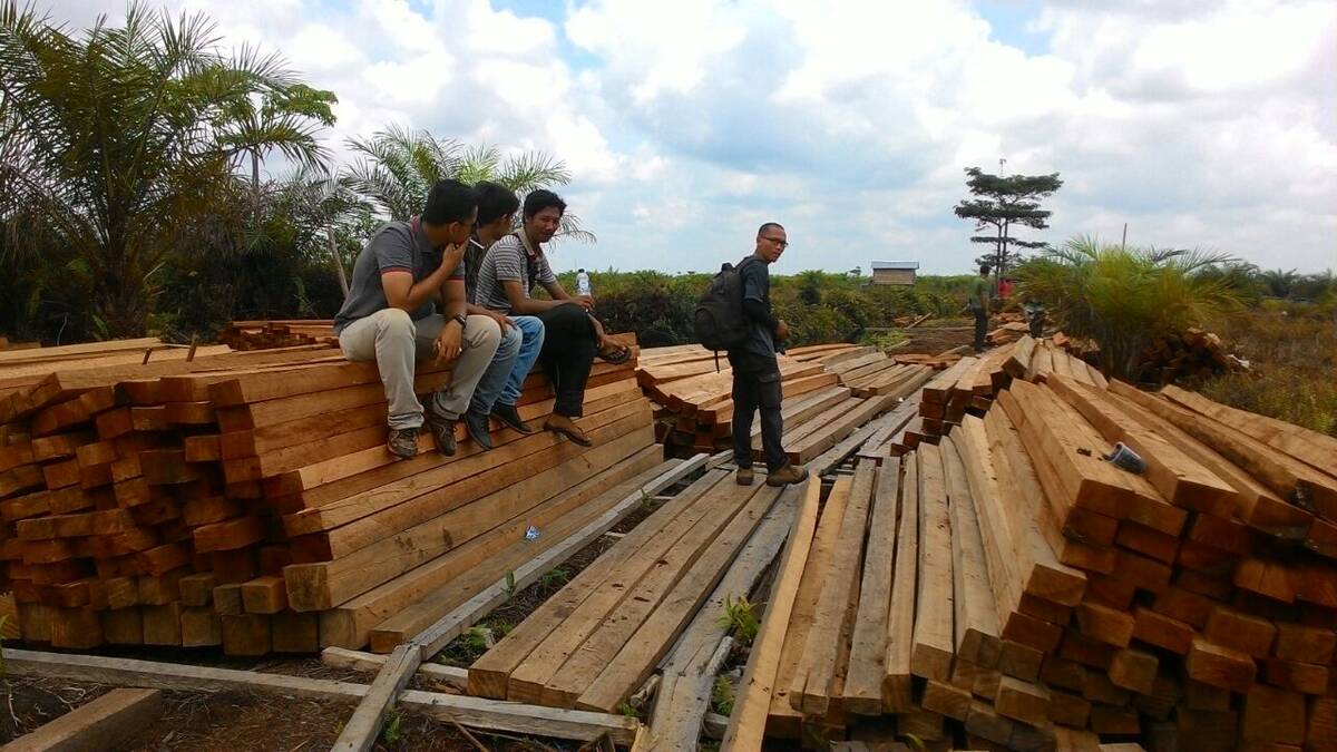 Ribuan Batang Kayu Ilegal Diamankan