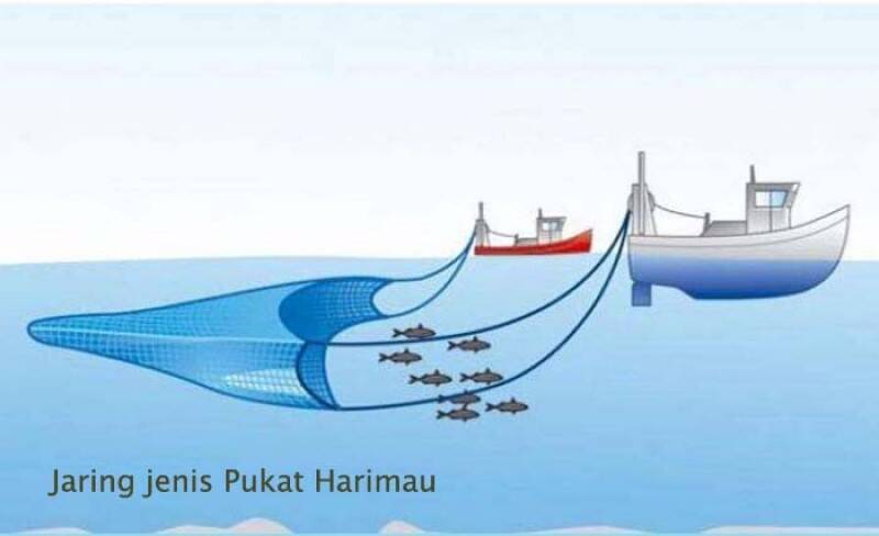 Ribuan Nelayan Trawl Jambi Masih Gunakan Pukat Harimau