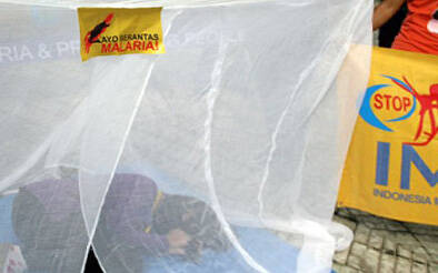 Safrial Ingatkan Jangan Beri Bibit Palsu ke Petani