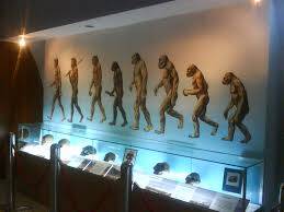 Saksikan Museum Manusia Purba Sanggiran