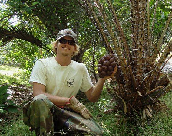 Salak Indonesia Cukup Diminati Kamboja