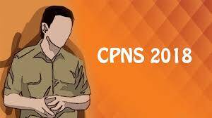 Sarolangun Kekurangan 71 Formasi Pada Penerimaan CPNS 2018