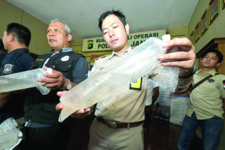 Satgas Benih Lobster Amankan Dua Lokasi Penampungan