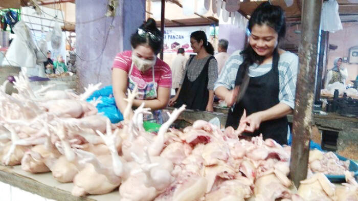 Satgas Pangan Jambi Telusuri Kenaikan Harga Ayam