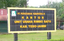 Sejumlah Karyawan PTPN 6 Tolak di Mutasi
