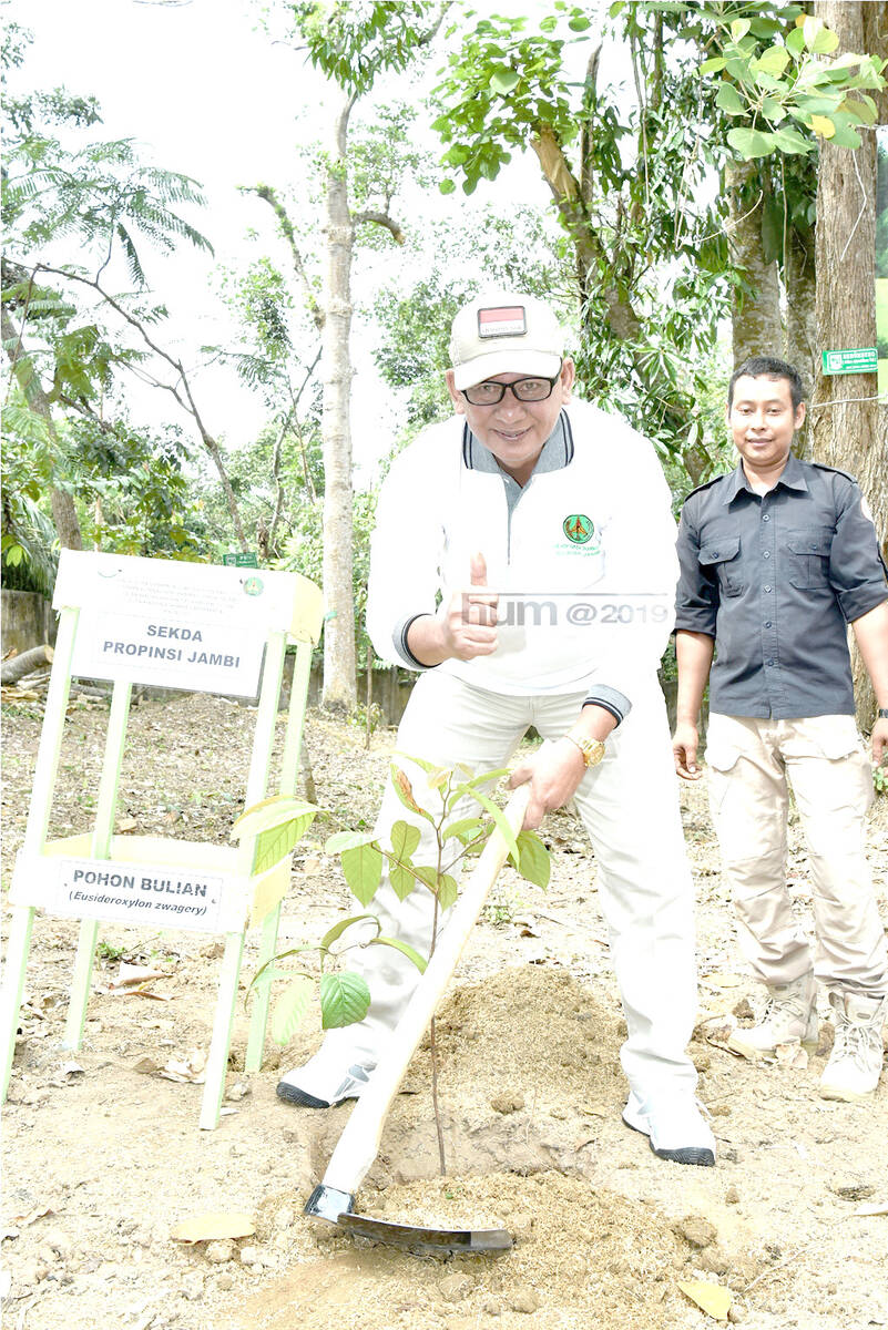 Sekda: Pohon Membentengi Kehidupan dan Jaga Kelestarian Alam