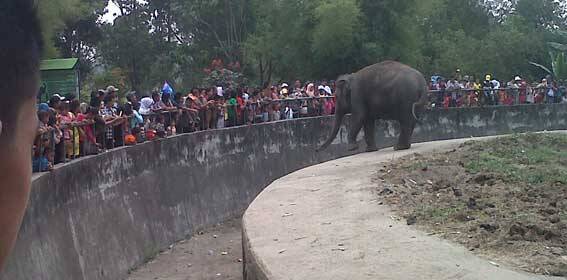 Selama Libur Lebaran, Pengunjung Taman Rimba Sudah Lebih 10 Ribu Orang