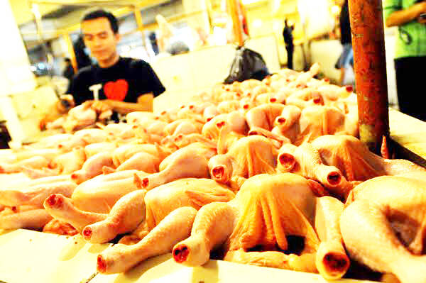 Selama Ramadhan Ayam Broiler Diminati Warga