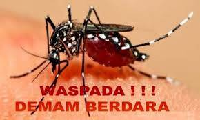 Sembilan Wilayah Rawan DBD