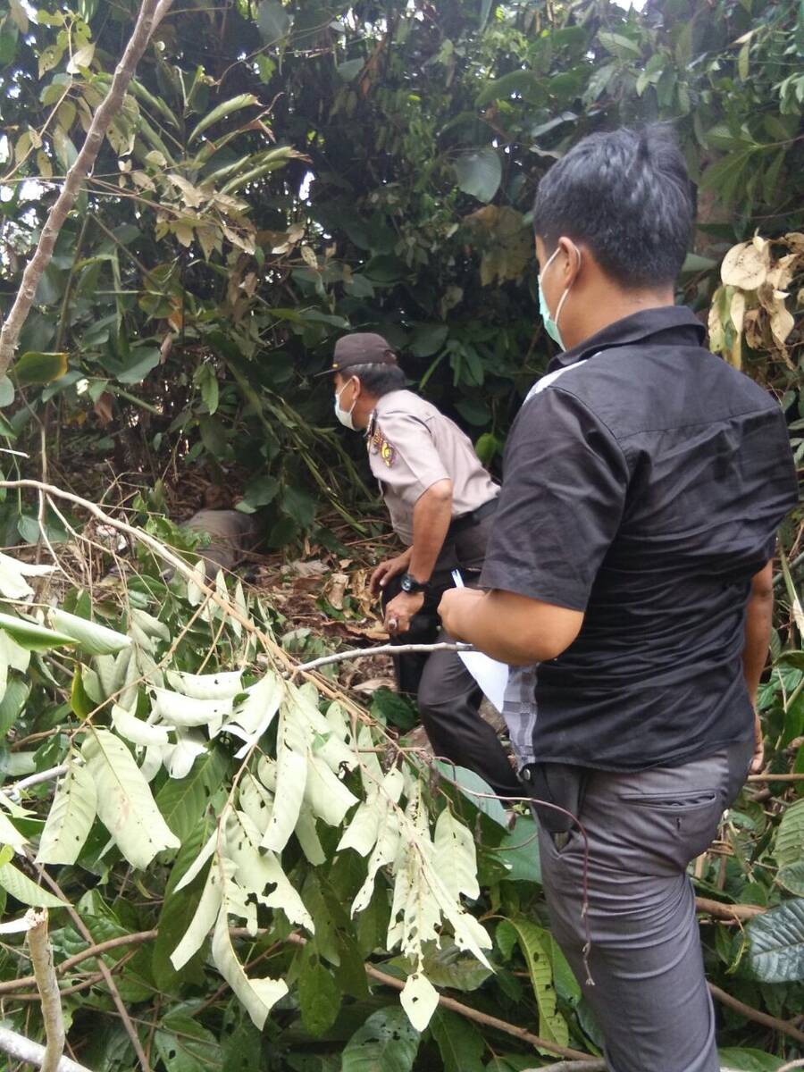Sesosok Mayat Ditemukan Warga Dalam Hutan Konsesi