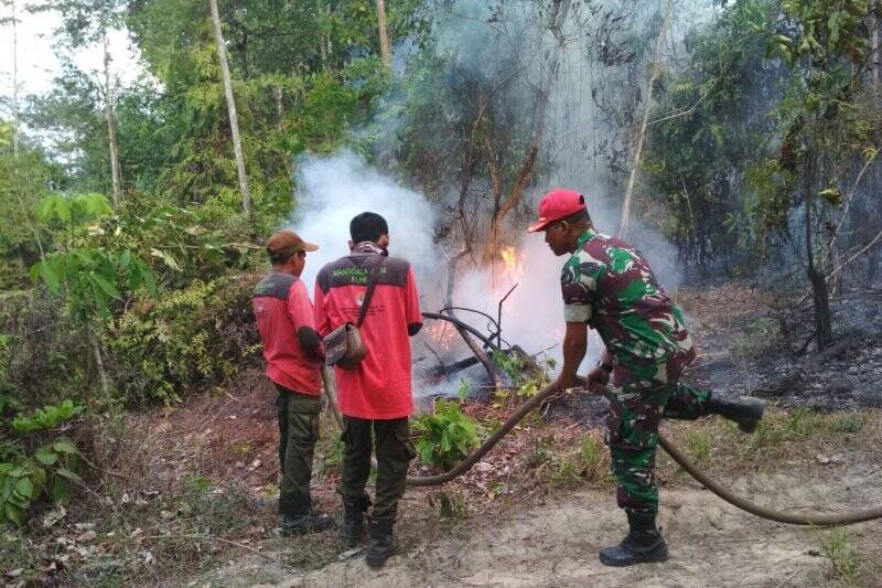 Setelah Diguyur Hujan Batanghari Nihil Titik Api
