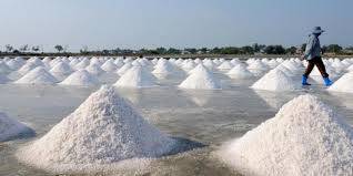 Stok Garam Jambi 150 Ton
