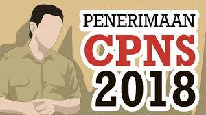 Tahun Ini, Tanjabtim Buka Lowongan CPNS dan Membutuhkan 106 Orang