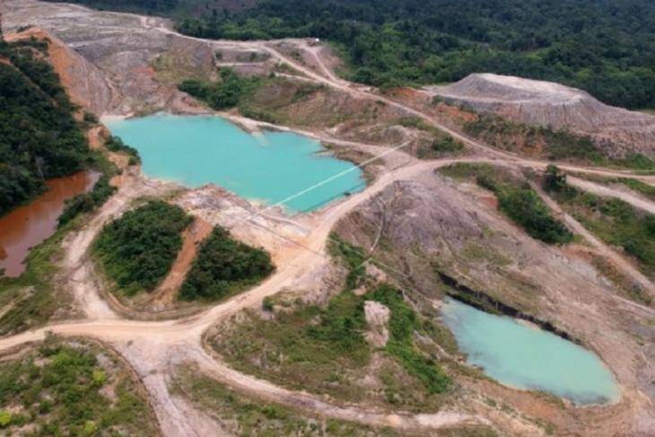 Tambang Batubara Bak Buah Simalakama