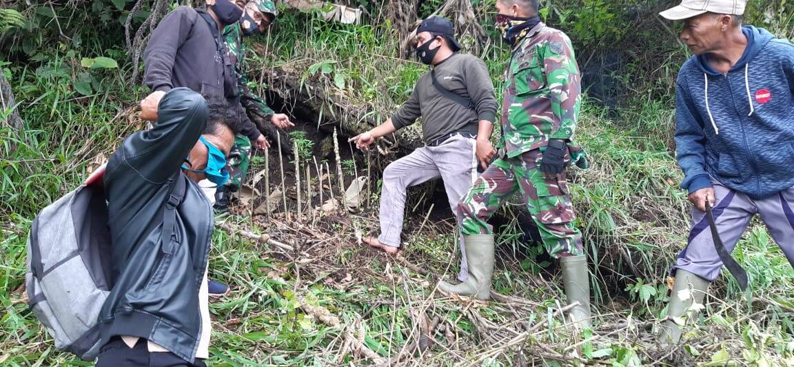 Tanaman Ganja di Kebun Warga Kerinci