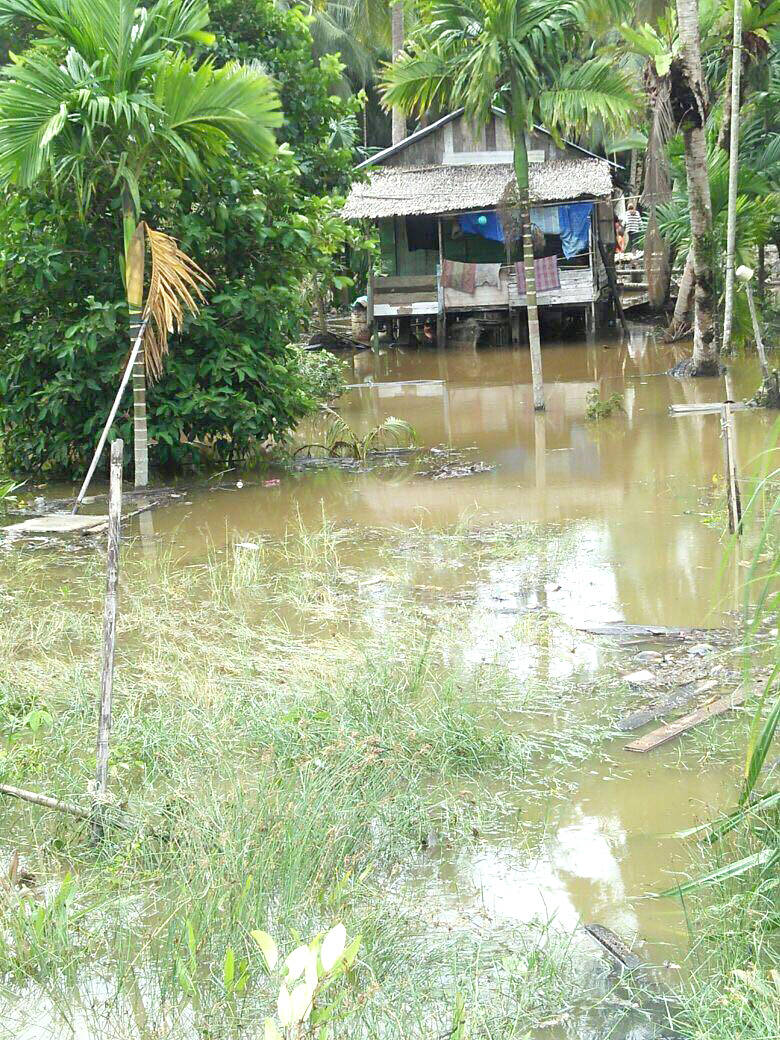 Tanggul Jebol Areal Rumah dan Perkebunan Warga Banjir