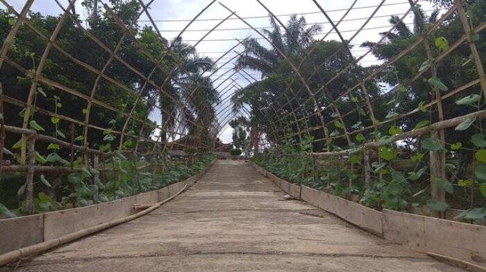 Tanjabtim Akan Jadi Daerah Agrowisata di Jambi