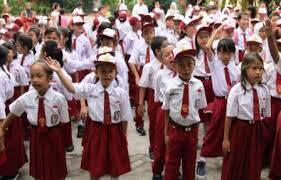 Tanjabtim Bakal Merger 12 SD Menjadi 6 SD