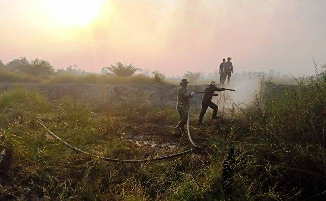 Terjadi 40 Kali Karhutla di Tanjabbar Hingga Agustus
