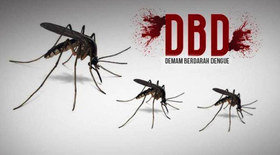 Terjangkit DBD, Satu Orang Meninggal Dunia