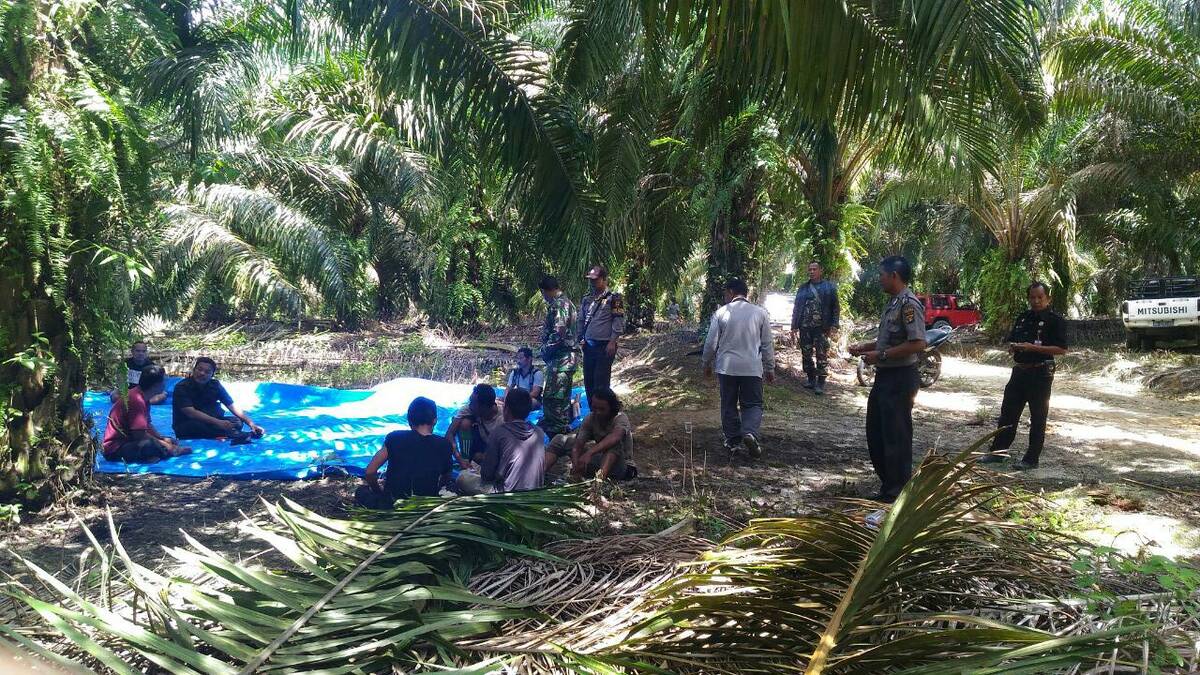 Ternyata Yang Klaim Lahan PT SAPM Oknum Pejabat