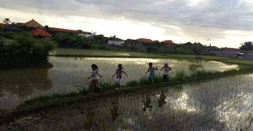 Tiga Desa di Pemayung Gagal Cetak Sawah