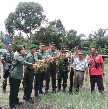 Tim Penilai Kunjugi Pembudidayaan Bawang Merah Binaan Kodim 0415/BTH