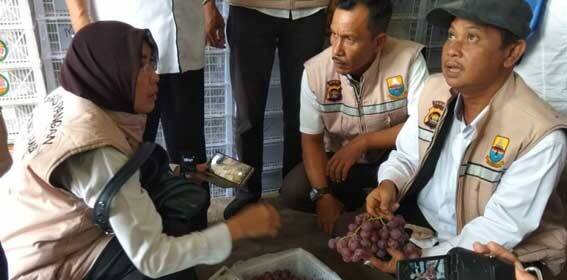 Tim Satgas Pangan Jambi Cek Anggur Impor