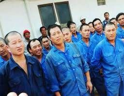 TKA di Jambi Mayoritas Berkewarnegaraan Tiongkok