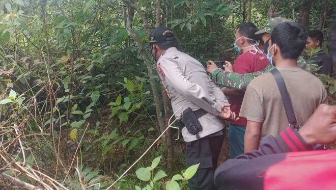 Tragis, Warga SAD Tewas Dililit Ular Sawo