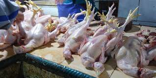 Turunnya Harga daging Ayam Tak Menaikan Jumlah Pembeli