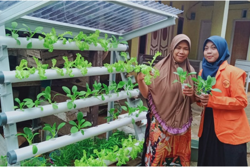 Unja Latih Hidroponik untuk Ibu Rumah Tangga