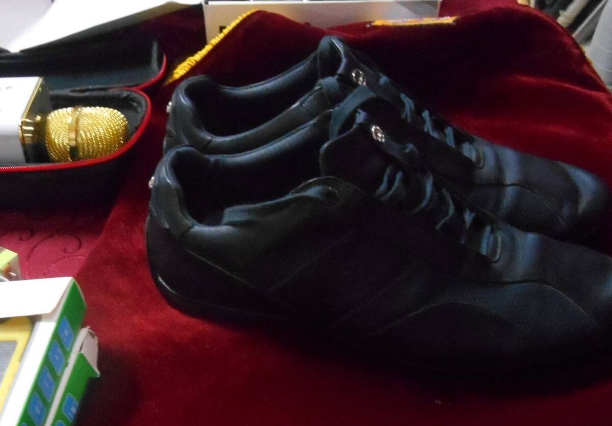 Wabup Tanjabtim Tidak Rela Sepatu Bupati di Lelang