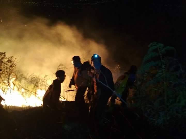 Warga Bram Itam Ditangkap karena Bakar Lahan untuk Cetak Sawah