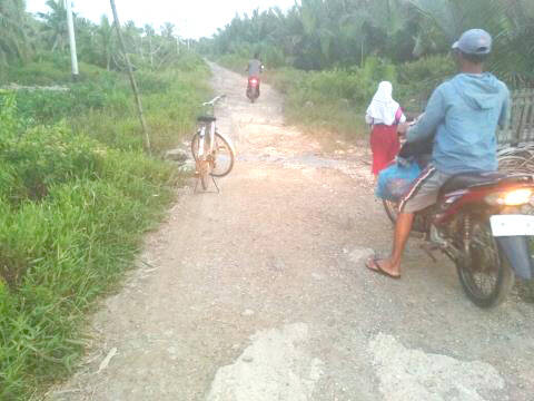 Warga Keluhkan Jalan Parit V Rusak Parah