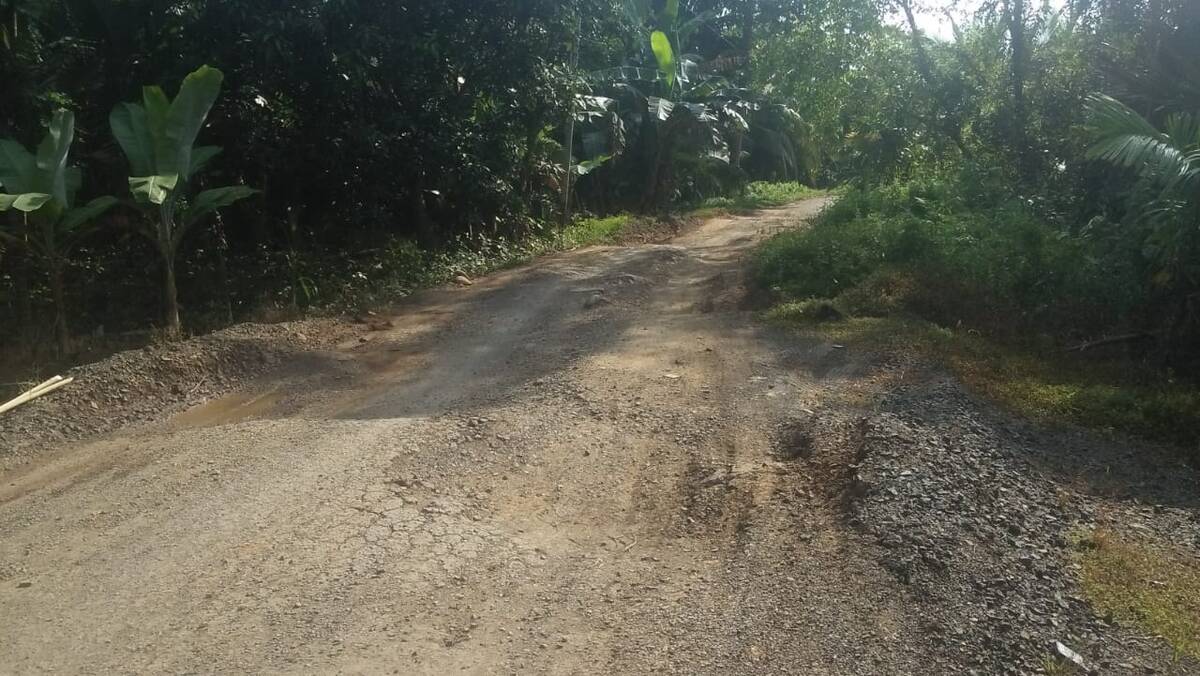 Warga Kuala Jambi Keluhkan Jalan Parit 8 Hancur