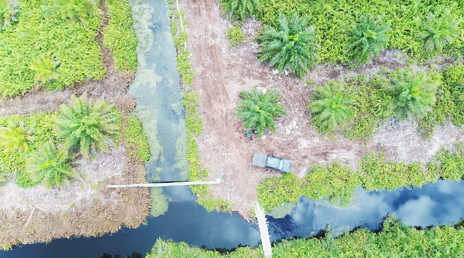 Warga Manfaatkan Kanal untuk Budi Daya Perikanan