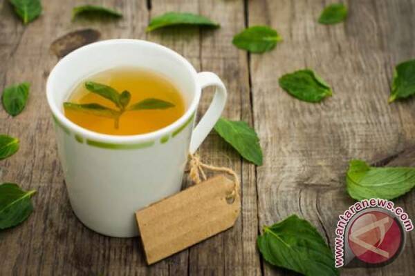 Warga Muarojambi Produksi Teh Dari Daun Sirsak