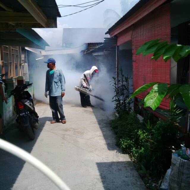 Warga Mulai Rawan Diserang DBD