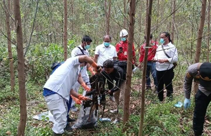 Warga Sumatera Utara Sudah jadi Kerangka di Kebun Akasia PT WKS