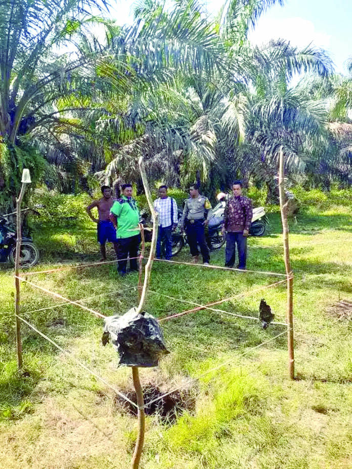 Warga Temukan Lubang Gas Beracun Di Area Perkebunan Sawit