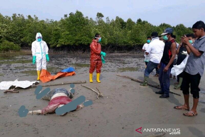 Warga Temukan Mayat WNA Malaysia Tak Utuh, Diduga jadi Santapan Hewan Laut