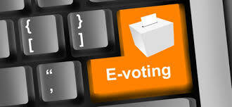 Wsldi, Pilkades Sistem E-Voting Mengurangi Kecurangan